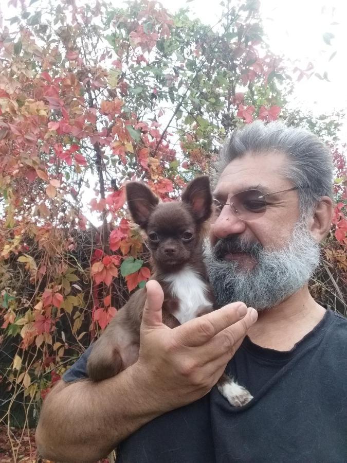 Dumbrava Soarelui 호텔 브라쇼브 외부 사진