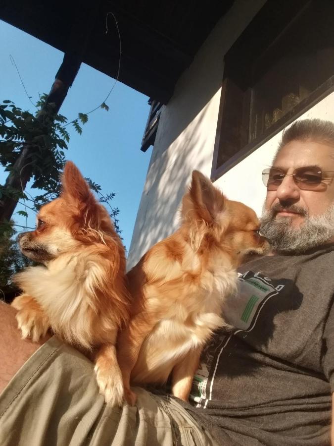 Dumbrava Soarelui 호텔 브라쇼브 외부 사진