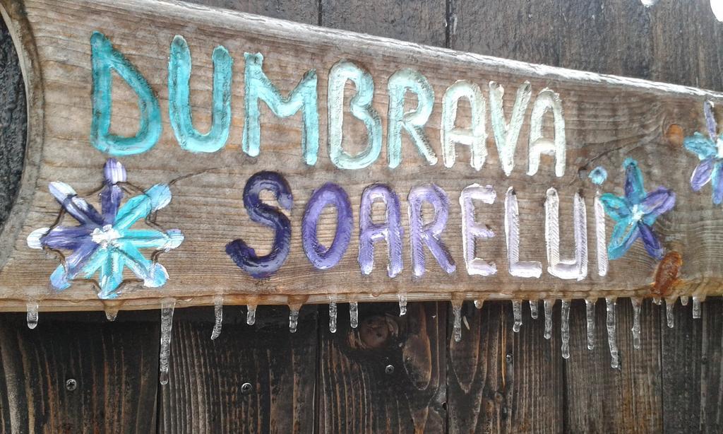 Dumbrava Soarelui 호텔 브라쇼브 외부 사진